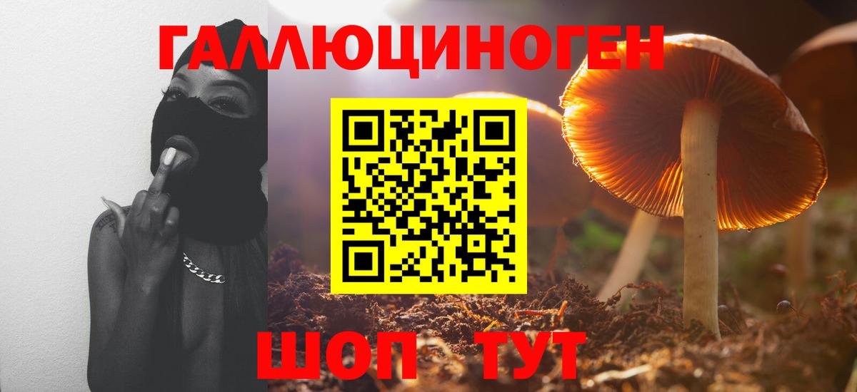Псилоцибиновые грибы Psilocybine cubensis  Вход с VPN  Геленджик 