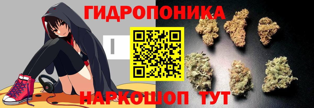 Бошки Шишки планчик  Бошки марихуана SATIVA & INDICA  Вход с VPN  Геленджик 